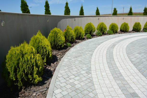 Best Driveway Repair Near Me  in Auburn, CA